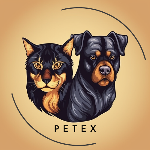 PetEx Store